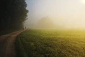 découvrez comment aménager un chemin de jardin élégant et fonctionnel pour sublimer votre espace extérieur. explorez des idées et des conseils pratiques pour choisir les matériaux, les styles et l'aménagement paysager qui transformeront votre jardin en un havre de paix.