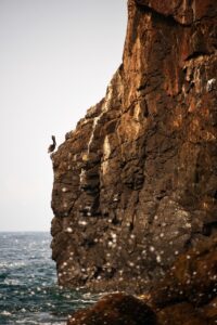 découvrez des astuces efficaces pour déboucher vos canalisations facilement. apprenez les meilleures techniques et produits pour un écoulement optimal et sans tracas.