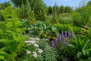 découvrez les plantes rares qui protègent naturellement votre potager contre les parasites et maladies, tout en favorisant une culture saine et écologique.